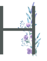 modern alfabet och siffra vild blomma vattenfärg png