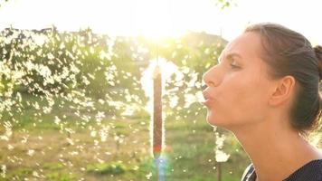 Portrait of pretty woman outdoors in sunny day. Fluff from reeds flies around video