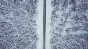 Top view of traffic on a road surrounded by winter forest. Scenic winter landscape video