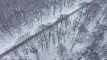 top visie van verkeer Aan een weg omringd door winter Woud. toneel- winter landschap video