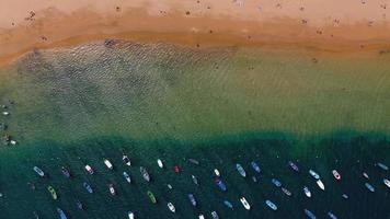 aereo Visualizza di il d'oro sabbia, palma alberi, sole lettini, irriconoscibile persone su il spiaggia las teresita, tenerife, canarini, Spagna video