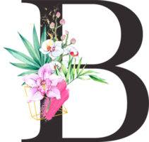 alfabet och siffra orkide blomma vattenfärg bröllop brev png