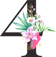 alfabet och siffra orkide blomma vattenfärg bröllop brev png