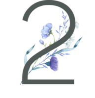 Modern Alphabet and number wildflower watercolor png