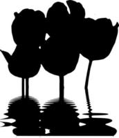 Vector silhouette of tulips on white background