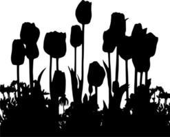 Vector silhouette of tulips on white background