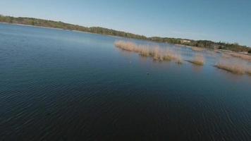 Fast and agile flight over the lake with a pair of white swans. Filmed on FPV drone video