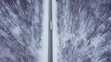 top visie van verkeer Aan een weg omringd door winter Woud. toneel- winter landschap video