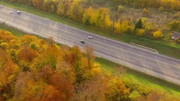 Visualizza a partire dal il altezza su un' luminosa autunno foresta come un' sfondo video