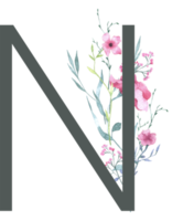 Modern Alphabet and number wildflower watercolor png