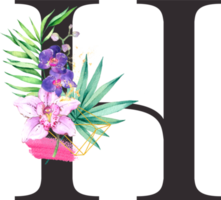 alfabet och siffra orkide blomma vattenfärg bröllop brev png