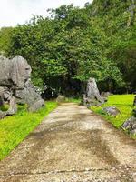 Roca hecho de naturaleza a aislado ambiente foto