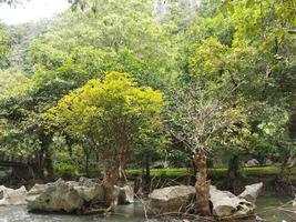 Roca hecho de naturaleza a aislado ambiente foto