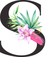 alfabeto e número orquídea flor aguarela Casamento carta png