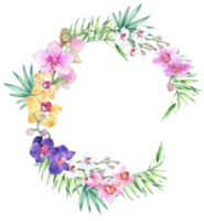 Orchid flower wreath and bouquet watercolor png