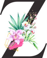 alfabeto e número orquídea flor aguarela Casamento carta png