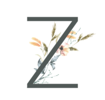 modern alfabet och siffra vild blomma vattenfärg png