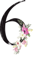 alfabet och siffra blomma vattenfärg bröllop brev png