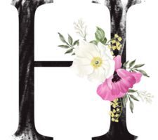 alfabet och siffra blomma vattenfärg bröllop brev png