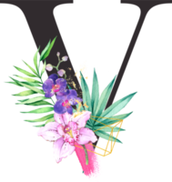 alfabeto e número orquídea flor aguarela Casamento carta png