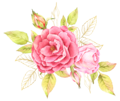 Rose flower wreath and bouquet watercolor png