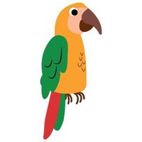 Cute hand drawn parrot. White background, isolate. vector