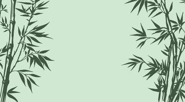 Bamboo tree, Hand drawn style. Vector. vector