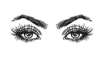 mujer ojos, maquillaje mirar, línea dibujo logo negro en blanco vector