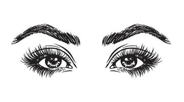 mujer ojos, maquillaje mirar, línea dibujo logo negro en blanco vector