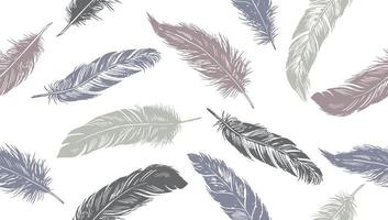 Hand drawn feather on white background vector