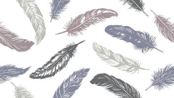 Hand drawn feather on white background vector