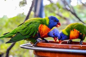 A colorful parent photo