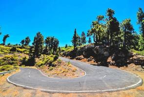 Scenic road view photo