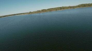 Fast and agile flight over the lake with a pair of white swans. Filmed on FPV drone video