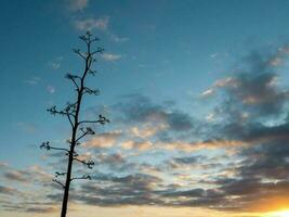 Clouds in the sky photo