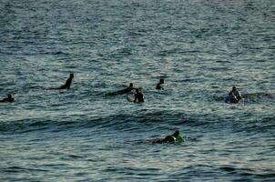 People surfing in the sea photo