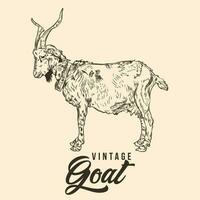 Vintage Hand Drawing Goat Sketch Vector Illustration