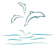 Dolphins swimming and jumping out of the water in sea vector