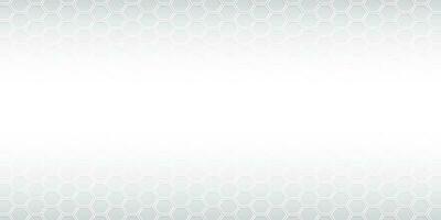 Abstract  white and gray color, modern design background with geometric hexagonal shape, hive pattern. Vector illustration.