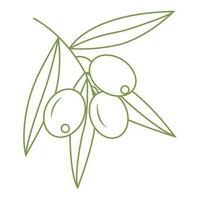 Olive branch. Simple icon in doodle style for your design. Vector illustration.