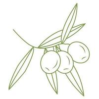 Olive branch. Simple icon in doodle style for your design. Vector illustration.