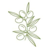 Olive branch. Simple icon in doodle style for your design. Vector illustration.