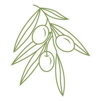 Olive branch. Simple icon in doodle style for your design. Vector illustration.