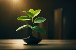 joven verde planta en un maceta en de madera mesa con libros y luz de sol ai generar foto