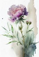 watercolor painting of peonies flowers. photo
