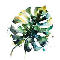 monstera palm leaves tropical posters watercolor paint splashes photo