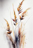 spikelets, rye, oats, wild flowers watercolor background for postcard photo