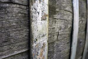 Old wooden barrel photo