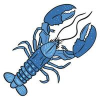 Blue Freshwater Lobster ,good for graphic design resources, posters, banners, templates, prints, coloring books and more. vector