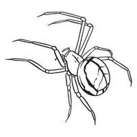 Spider outline art ,good for graphic design resources, posters, banners, templates, prints, coloring books and more. vector